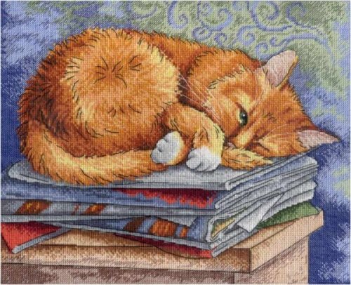 (image for) Smart Cat